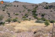 Agios Pavlos Kreta, Agios Pavlos - Einmaliges Grundstück 300m vom Meer mit Panorama Meerblick Grundstück kaufen